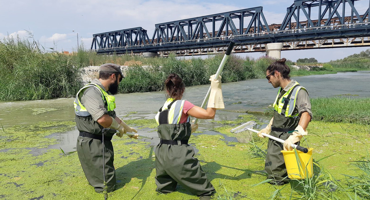 La biologia che cambia il lavoro